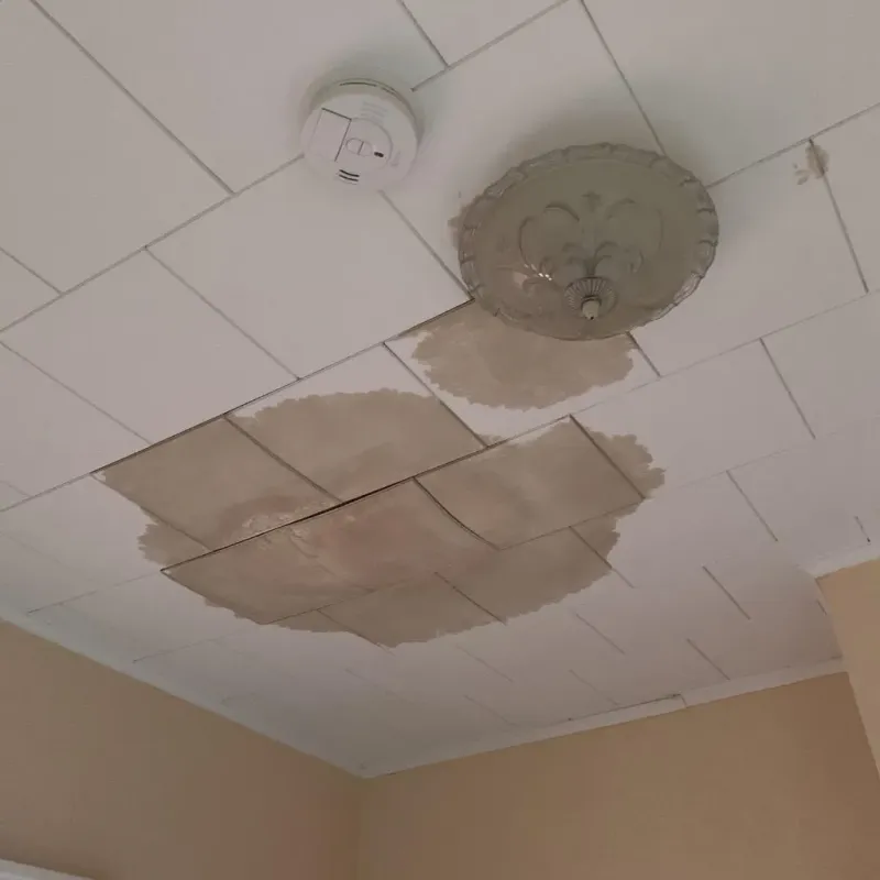 Ceiling Water Damage Repair in Easthampton, MA