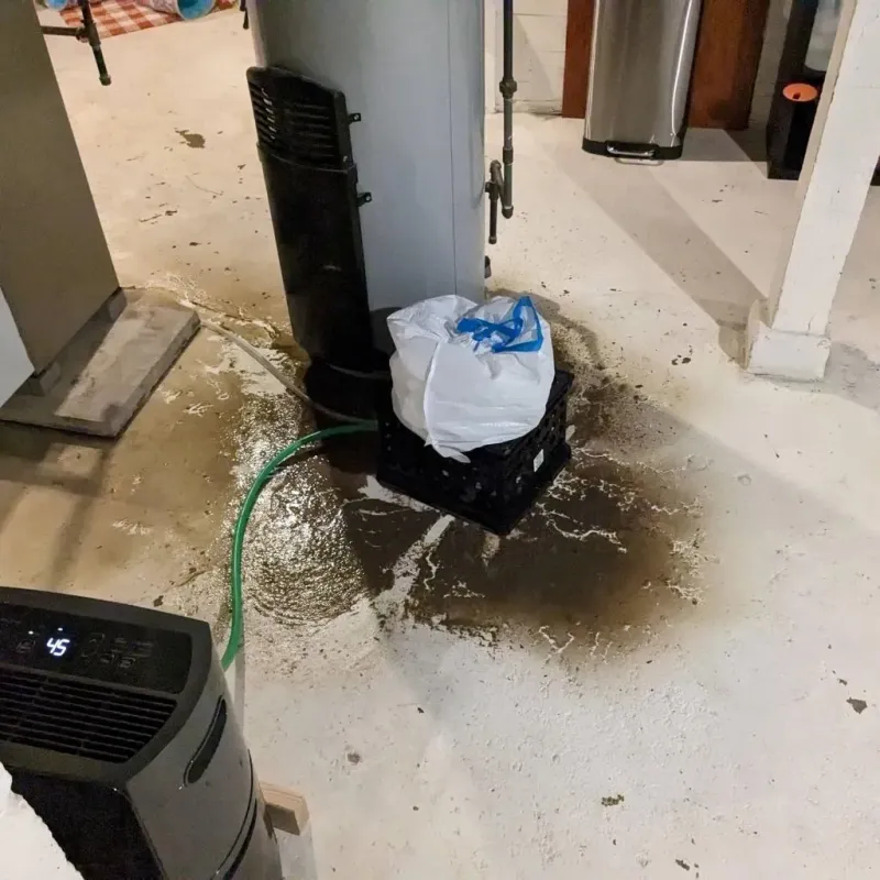 Sewage Backup Cleanup Service in Easthampton, MA